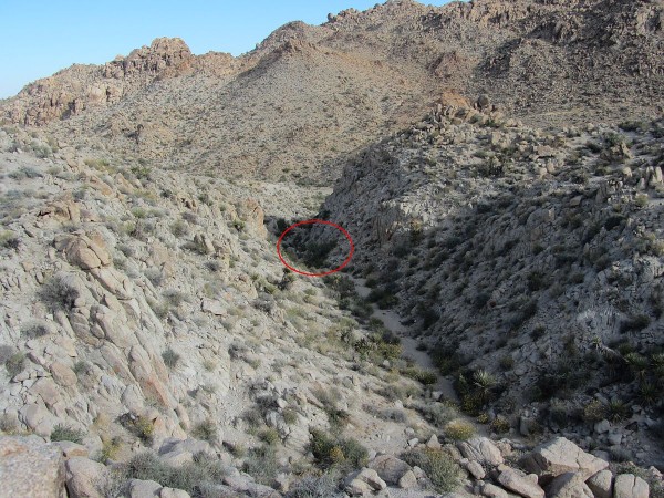 site_view.jpg (354.03 KiB) Viewed 22194 times site_view.jpg
