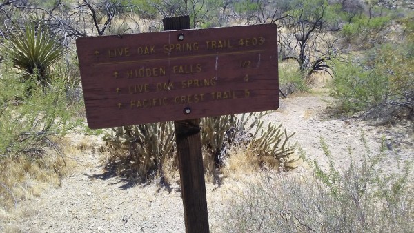 Sign at Dutch Charlie.jpg