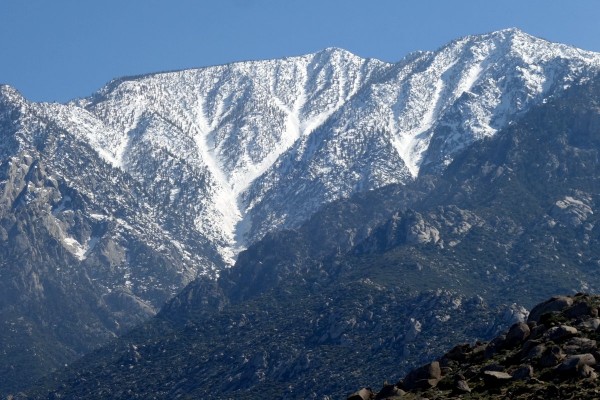 N Fac San Jac 4 13 20.JPG