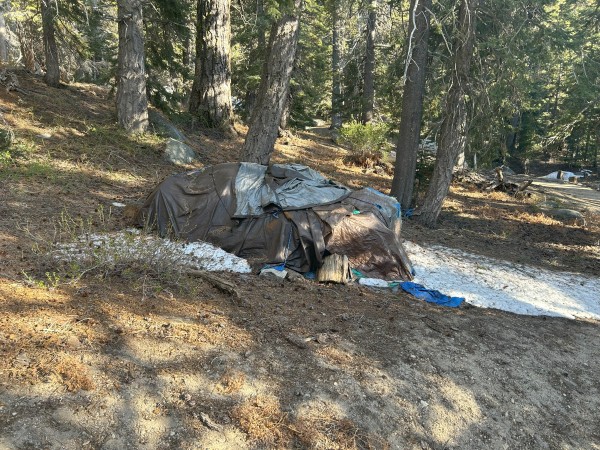 IMG_8248.jpg (5.75 MiB) Viewed 33711 times IMG_8248.jpg