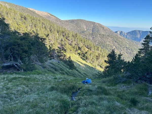 IMG_8656.jpg (4.25 MiB) Viewed 212217 times IMG_8656.jpg