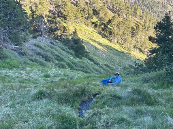 IMG_8658.jpg (4.07 MiB) Viewed 204951 times IMG_8658.jpg