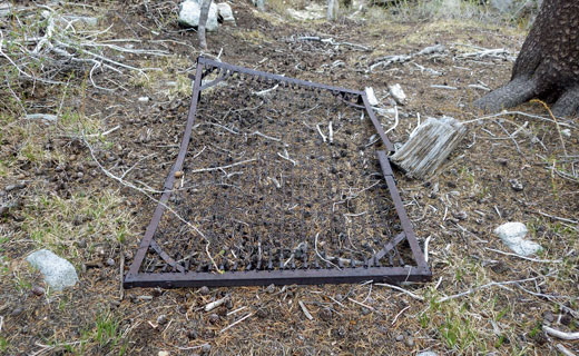 Bed-Springs.jpg