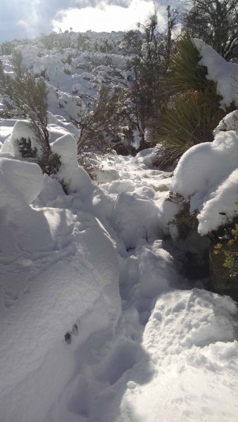 4. Above Flat Rock Small.jpg