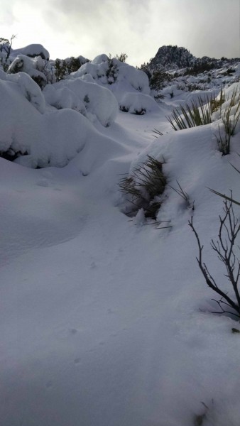 5. Trail above Flat Rock Small.jpg